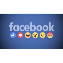 7 FIGURE Facebook Ads 2019