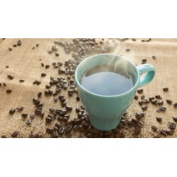Java - A 3-Step Process to Master Java in 7 days for Newbies