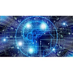 Fully Accredited Professional Neuroplasticity Diploma Course