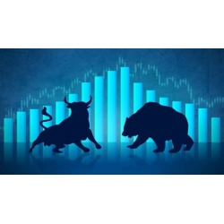 Stock Market for Beginners in Hindi (20 Hours)