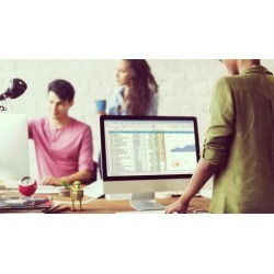 Microsoft Excel 2016 - Introduction to Pivot Tables
