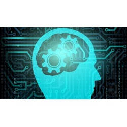 Professional Fully Accredited NLP Certification Diploma