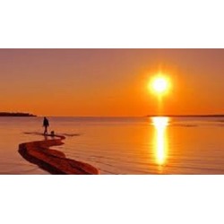 Moving Meditation Certification Course