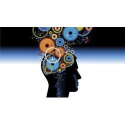 CBT: Cognitive Behavioral Therapy For Therapists & Coaches