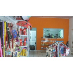 Como Montar um Petshop de Sucesso