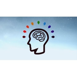 Creative Brain Training for Neuroplasticity & High I.Q.