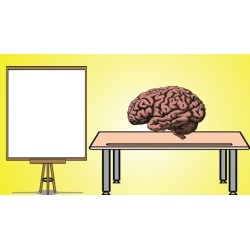 Cognitive Psychology - Learning and Memory