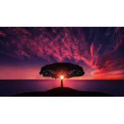 Complete Photography Masterclass: 4 courses in 1