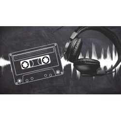 THE AUDIO SIGNAL