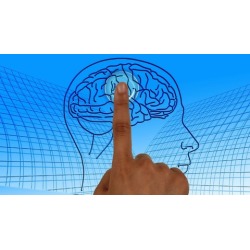 Fully Accredited Professional Psychotherapy Diploma Course