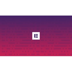 Elementor Pro
