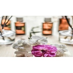 Fully Accredited Professional Aromatherapy Diploma Course