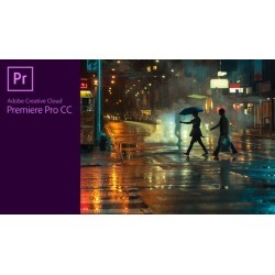 Power Video Editing: Adobe Premiere Pro in 45 min