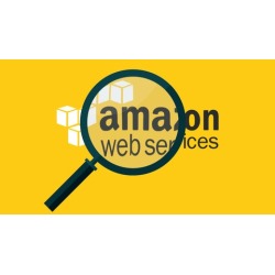 Docker with AWS and AWS Elastic Beanstalk:2 Course Bundle