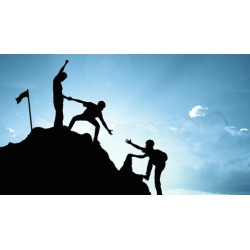 Professional Agile Leader - PAL