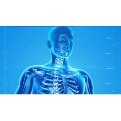 Fully Accredited Foundation Level Kinesiology Course