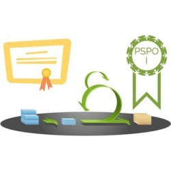 PSPO 1 (Professional Scrum Product Owner) Practice Tests