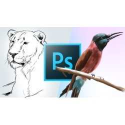 Learn How to Draw and Paint in Photoshop