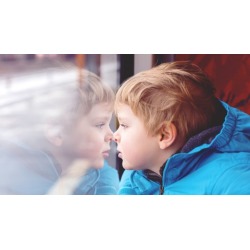 Digital Photography: Capturing the Moment