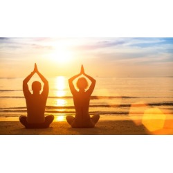 Manifest Magnificent Health and Well-Being Coaching Program