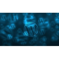How to create a successful WordPress Site