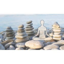 Basic Yoga Meditation