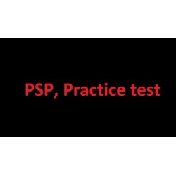 Planning and scheduling professional practice test