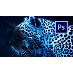 Photoshop Design Techniques