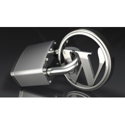 Wordpress Security Guide