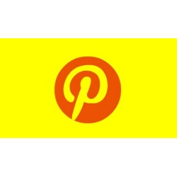 Pinterest For Business: How I Get 7905 Followers In 30 Days