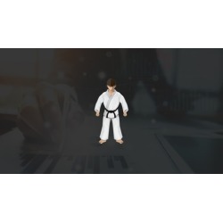 Lean Six Sigma Black Belt