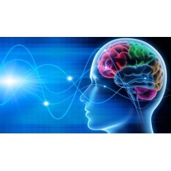 Mente Proativa - Metodologia Coaching