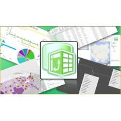 Domina Power Pivot, Power Query, Power View y Power Map