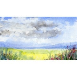 Beginners guide to watercolor painting, all you need to know