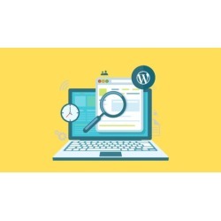 Become a Wordpress Professional in 10 Days!