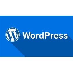 Master WordPress - Create a WordPress Website in 1 Hour