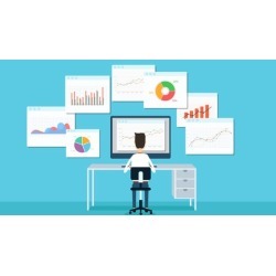 Selling Information and Professional Services Online