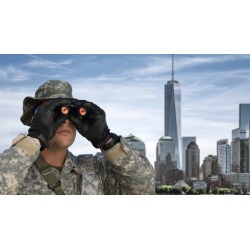 Job Search for Veterans (Basic)