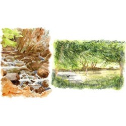 Paint 2 river scenes in FREE style Watercolor painting.