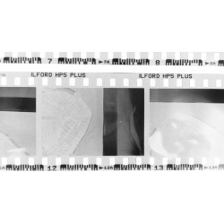Developing and Scanning 35mm Black and White Film