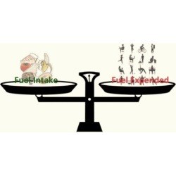 Diet and Metabolism