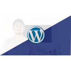 Complete Custom Wordpress Website Freelancer in 2018