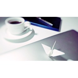 5-Minute Memory & Brain Training Origami for Business Trip