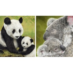 Learn How to Draw Koalas and Pandas Step by Step