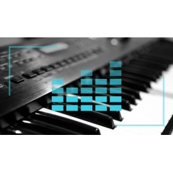 Keyboard Basics