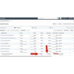 7 Figure Facebook Advertising (Master Class)