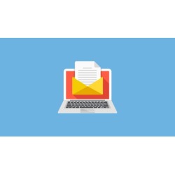 Professional Email Writing