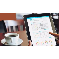 Crystal Reports for SAP Business One Mastery Training Course