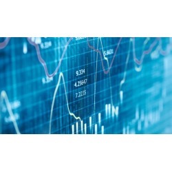 Forex Trading - Advanced Fundamental Analysis
