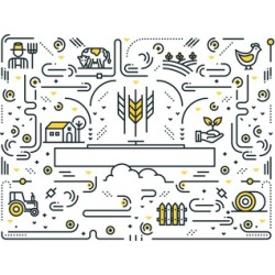 Cheat Sheet for Food Handlers Certificate